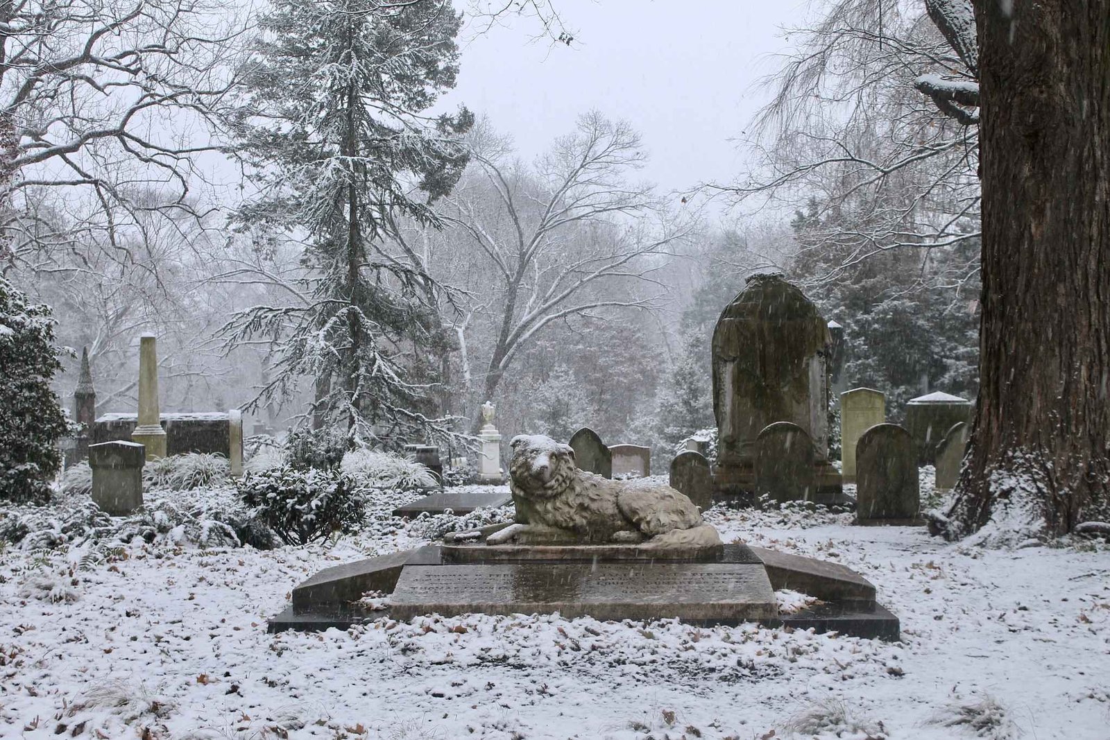 Mount Auburn Cemetery (©Corinne Elicona) 01