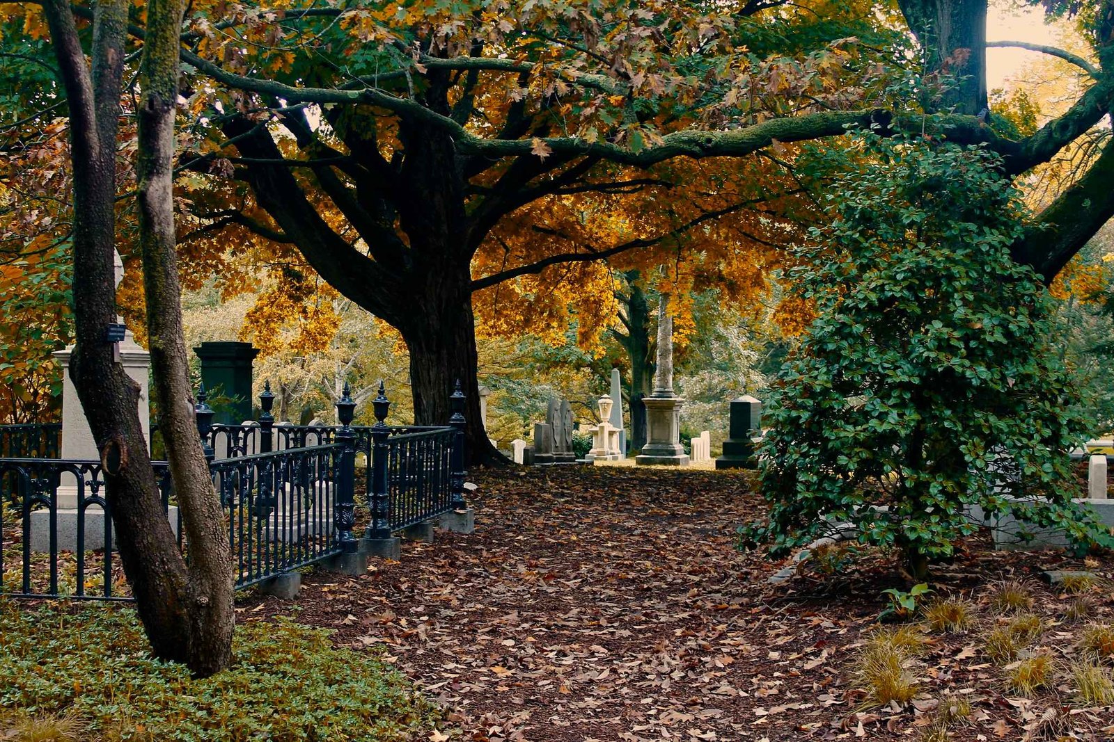 Mount Auburn Cemetery (©Corinne Elicona) 01