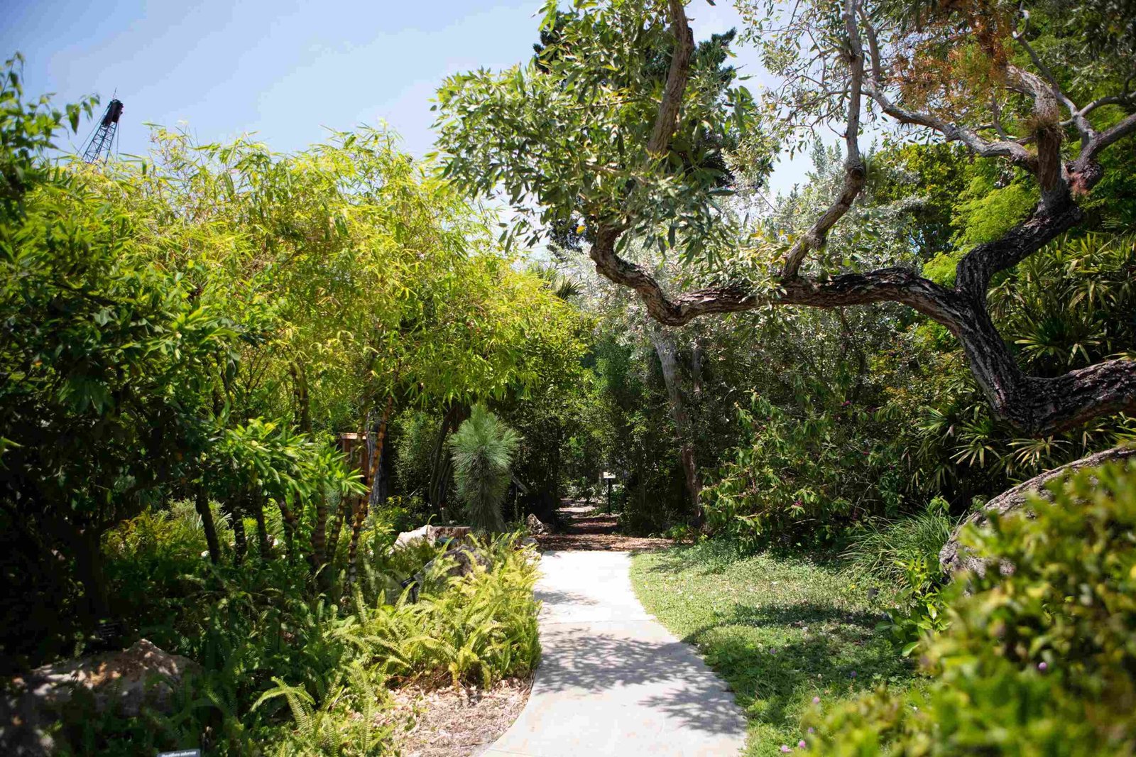 South Miami Beach Botanical Garden (Courtesy Greater Miami Convention & Visitors Bureau)