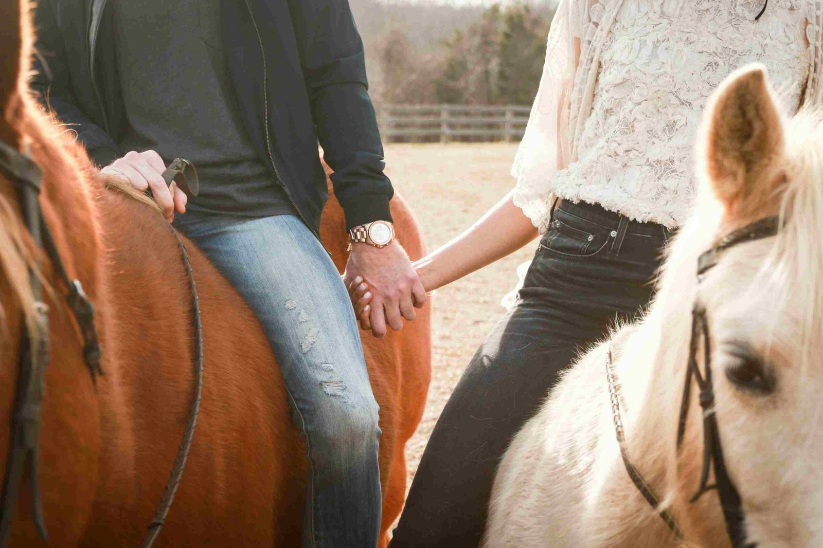 Horseback Riding (©Anna Claire Schellenberg)