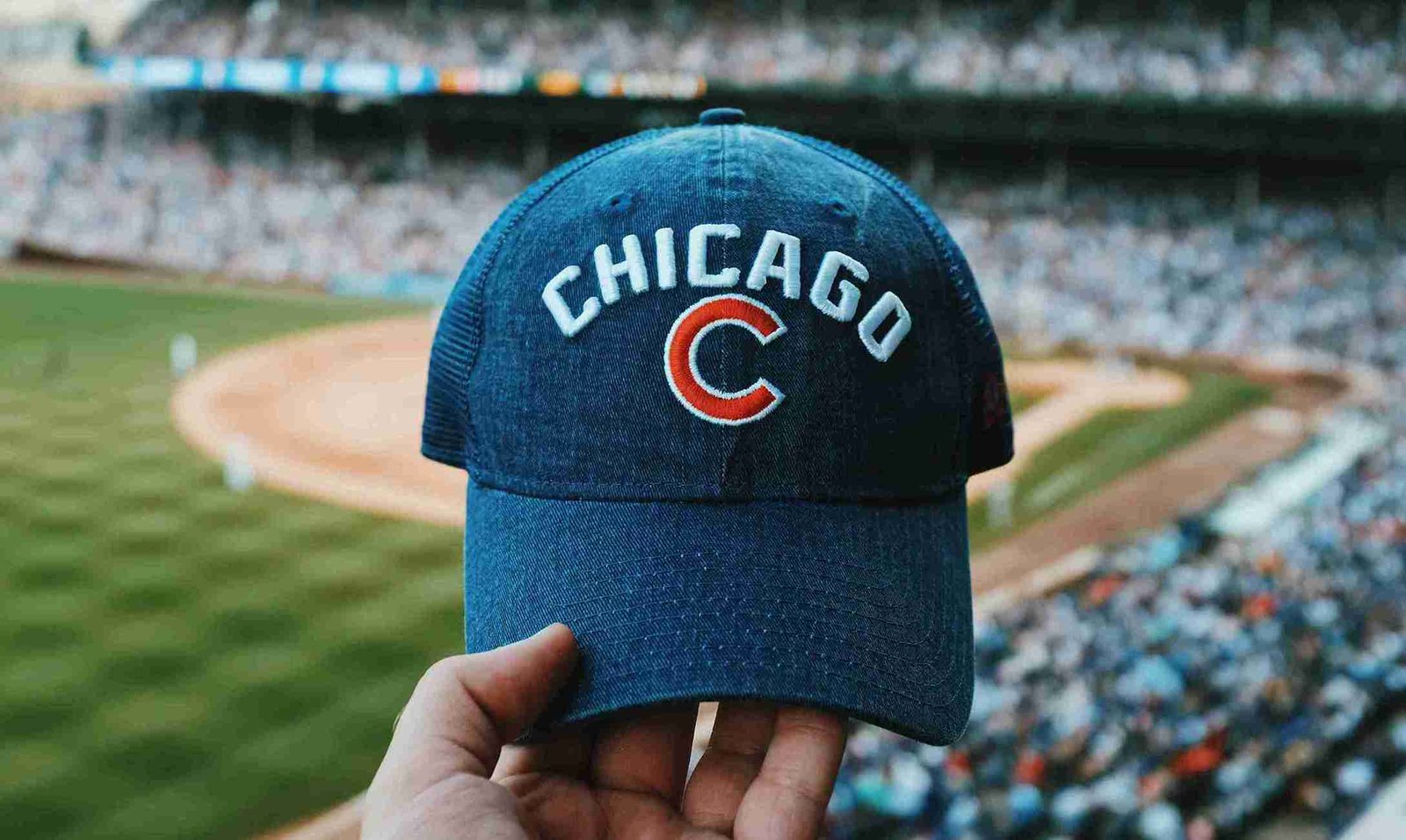 Chicago Cubs (ยฉBlake Guidry)