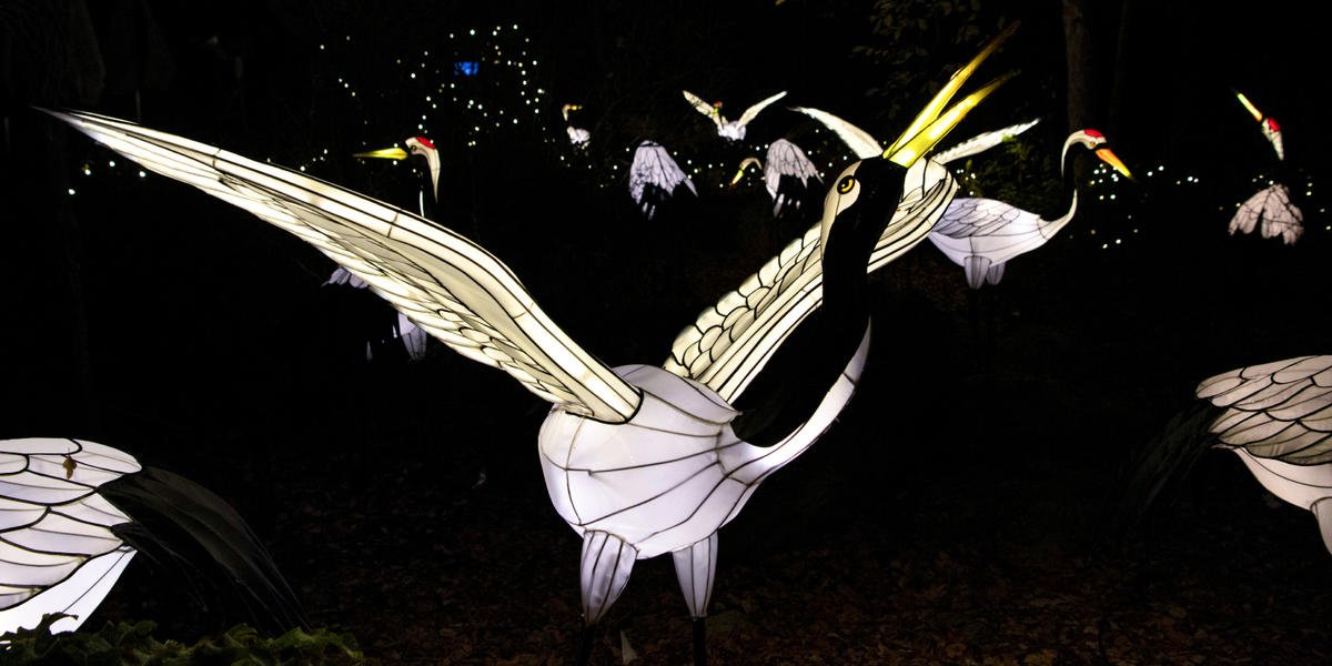 The Bronx Zoo doesn’t disappoint with its seasonal celebration of lights | 