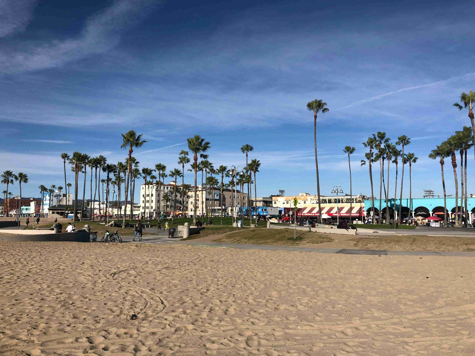 Venice Beach (ยฉSanika Kumar)