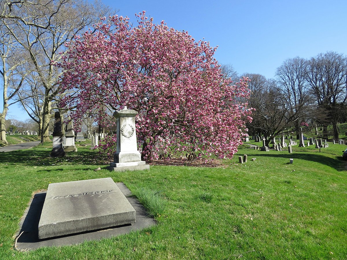Green-Wood Cemetery (ยฉTony Rodriguez)