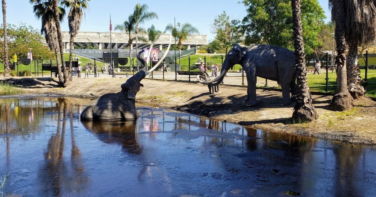 La Brea Tar Pits & Museum (©Nicholas B Yelp)