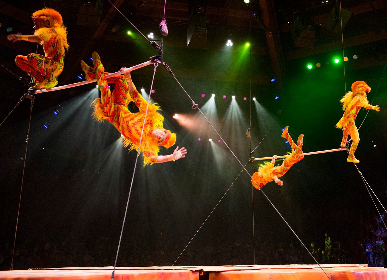 Festival of the Lion King at Disney's Animal Kingdom (ยฉRyan Wnendler)