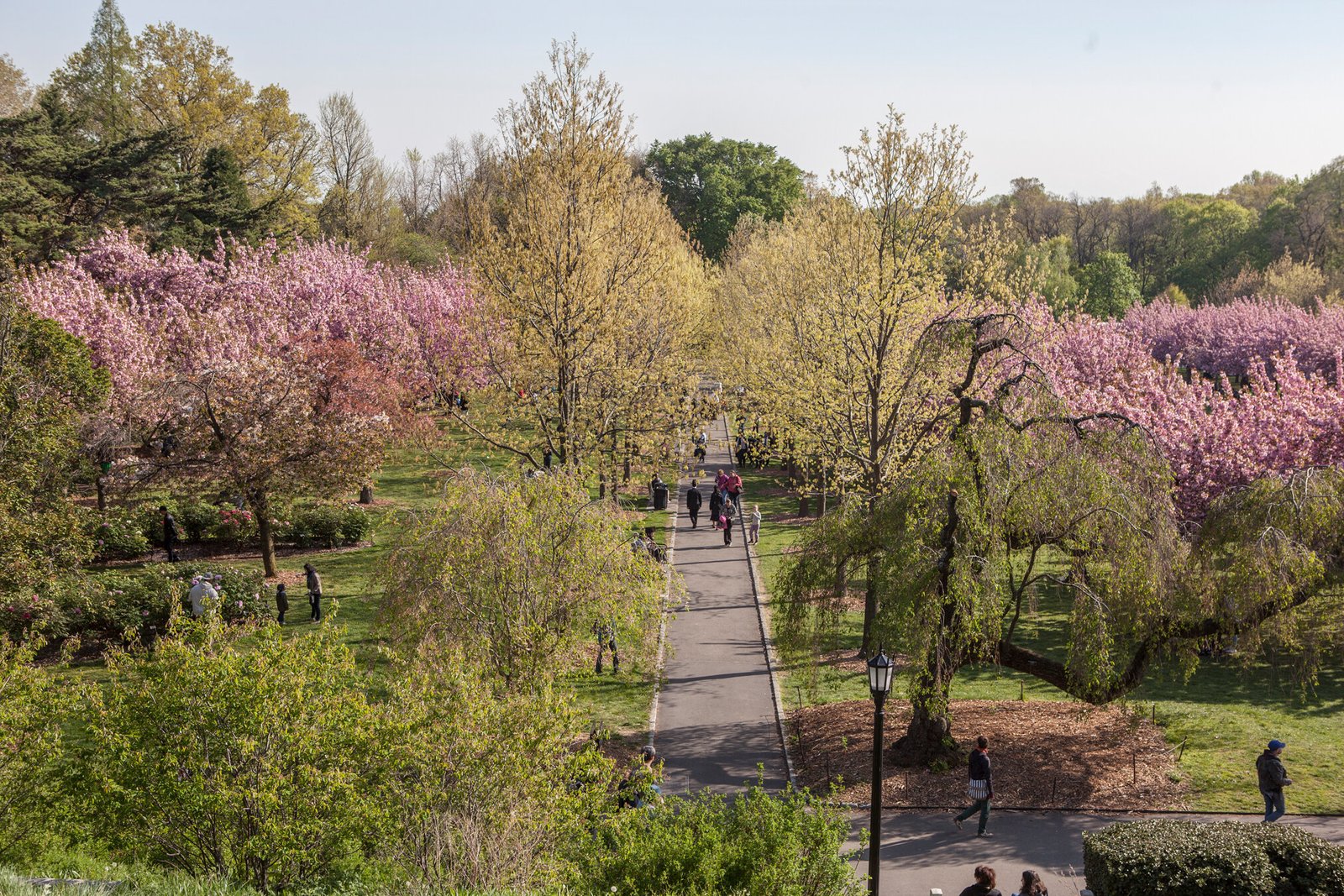 Brooklyn Botanic Garden (©Tagger Yancey IV / NYC Tourism + Conventions)