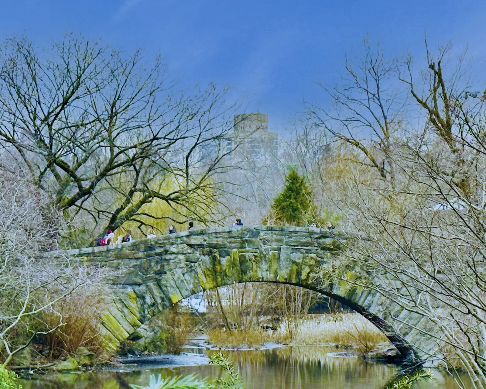 Central Park (ยฉMelanie Lee)