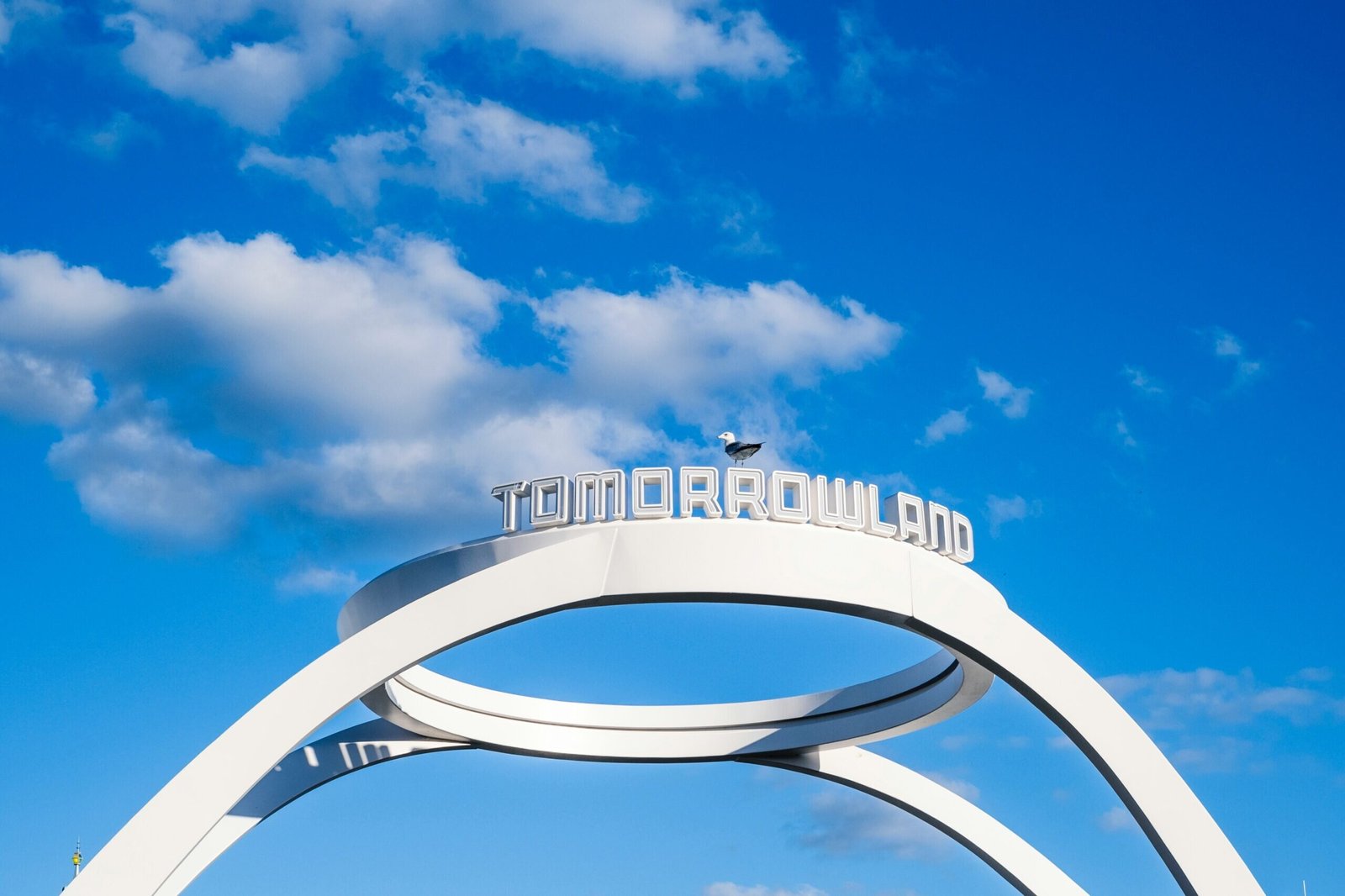 Tomorrowland (ยฉBrian McGowan)