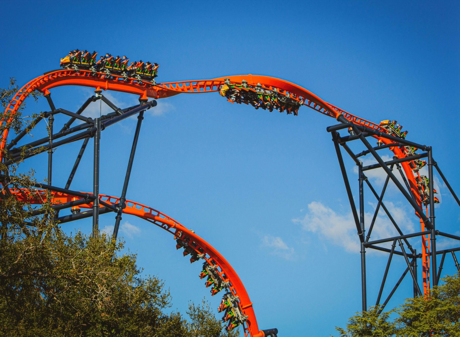 Busch Gardens Tampa Bay (©Itai Aarons)