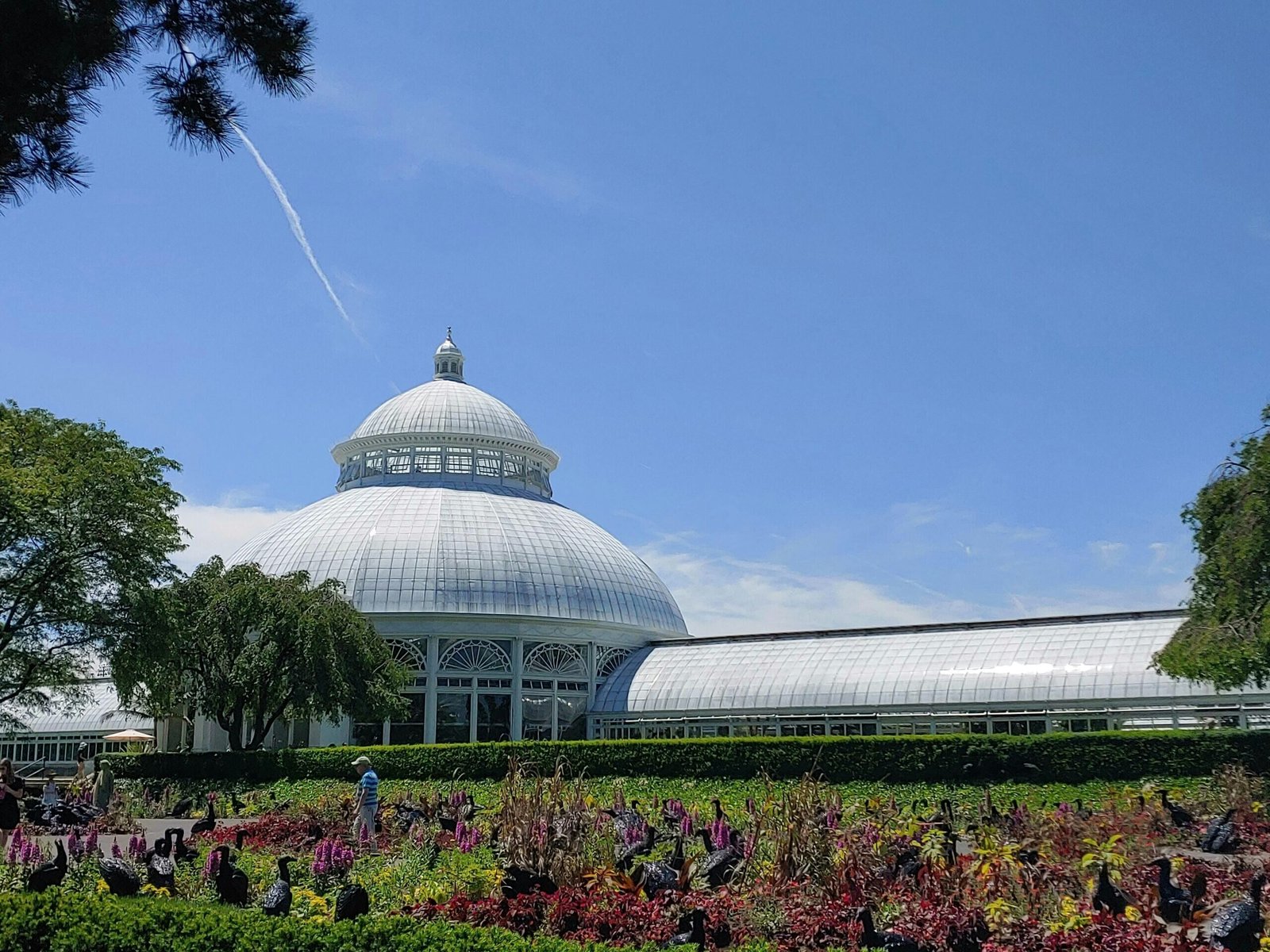 New York Botanical Garden (©Laura Michalski)