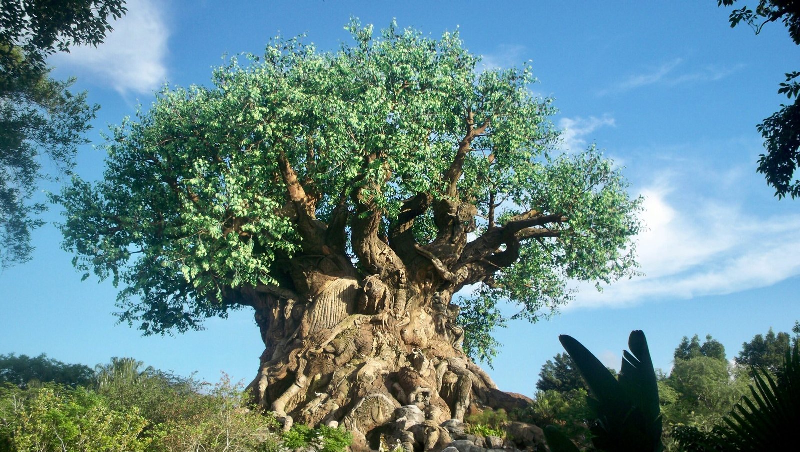 Disney'a Animal Kingdom (©Stephanie Klepacki)