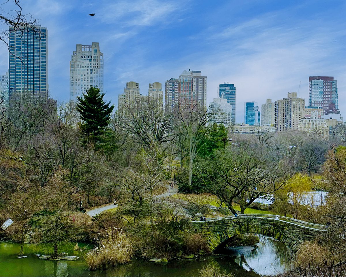Central Park (©Melanie Lee)