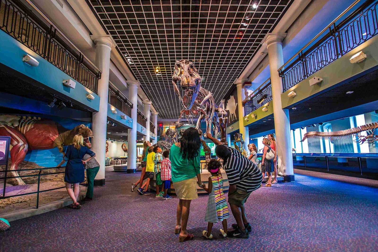 Academy of Natural Sciences (Photo by J. Fusco for VISIT PHILADELPHIAยฎ)