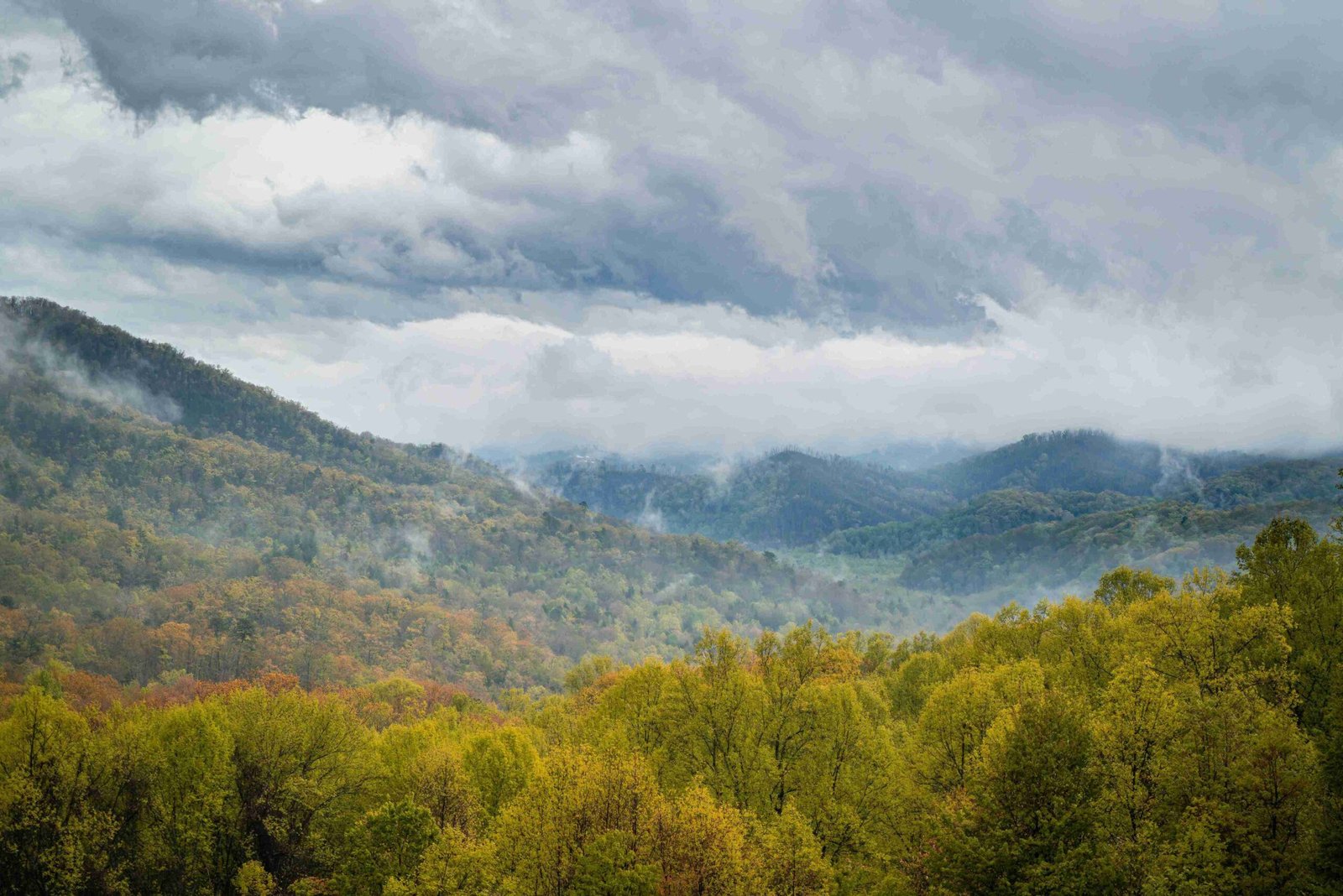 Great Smoky Mountains National Park (ยฉA.N.V.E.S.H.)