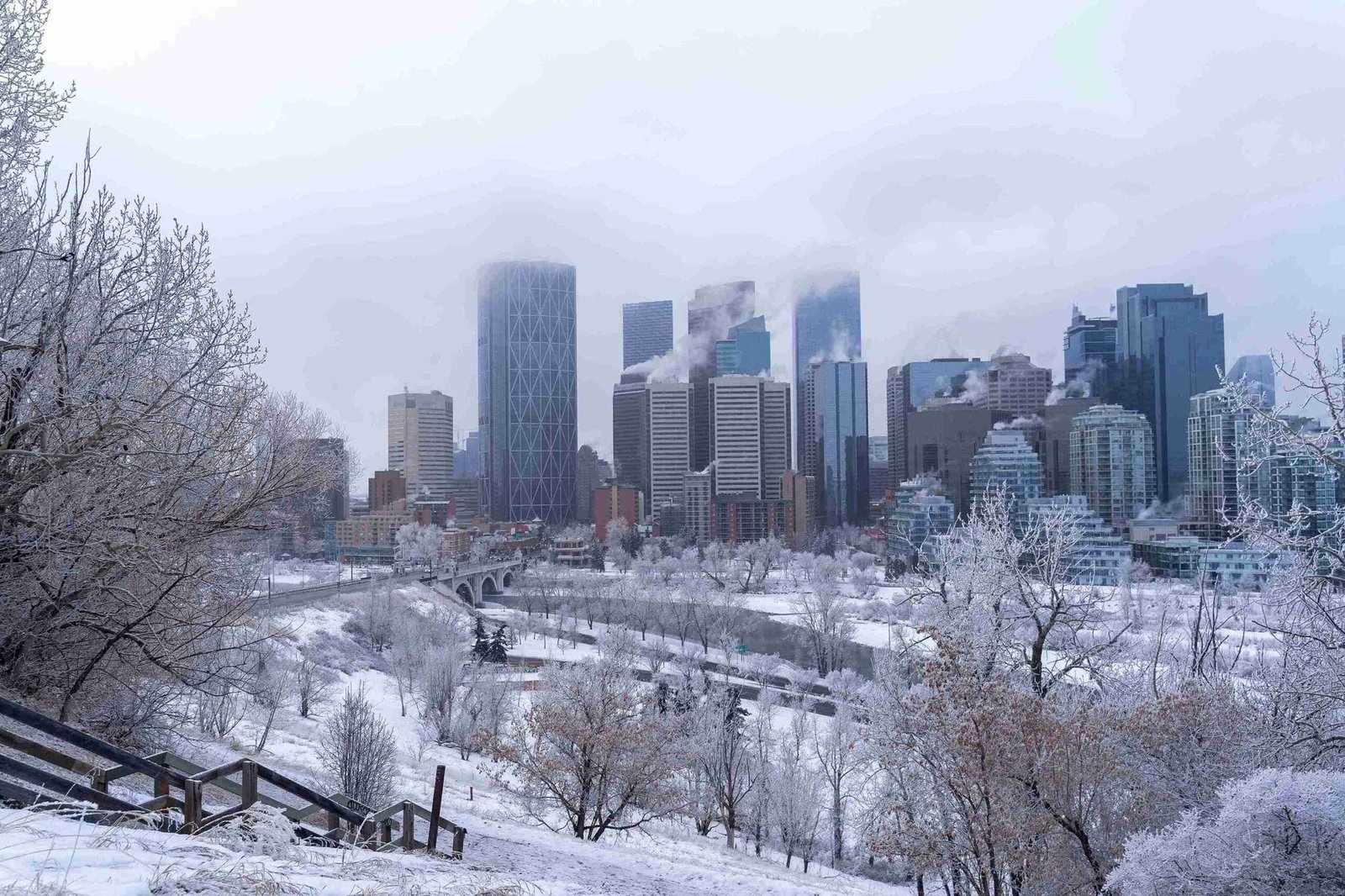 Chicago Winter (©Davey Gravy)