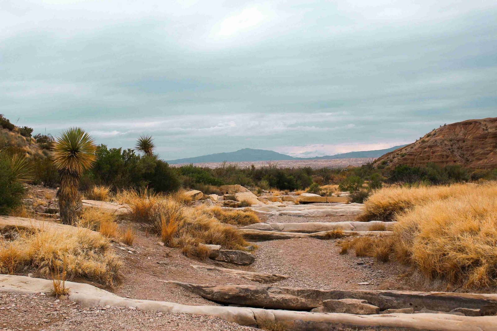 Big Bend National Park (ยฉKatie Polansky)
