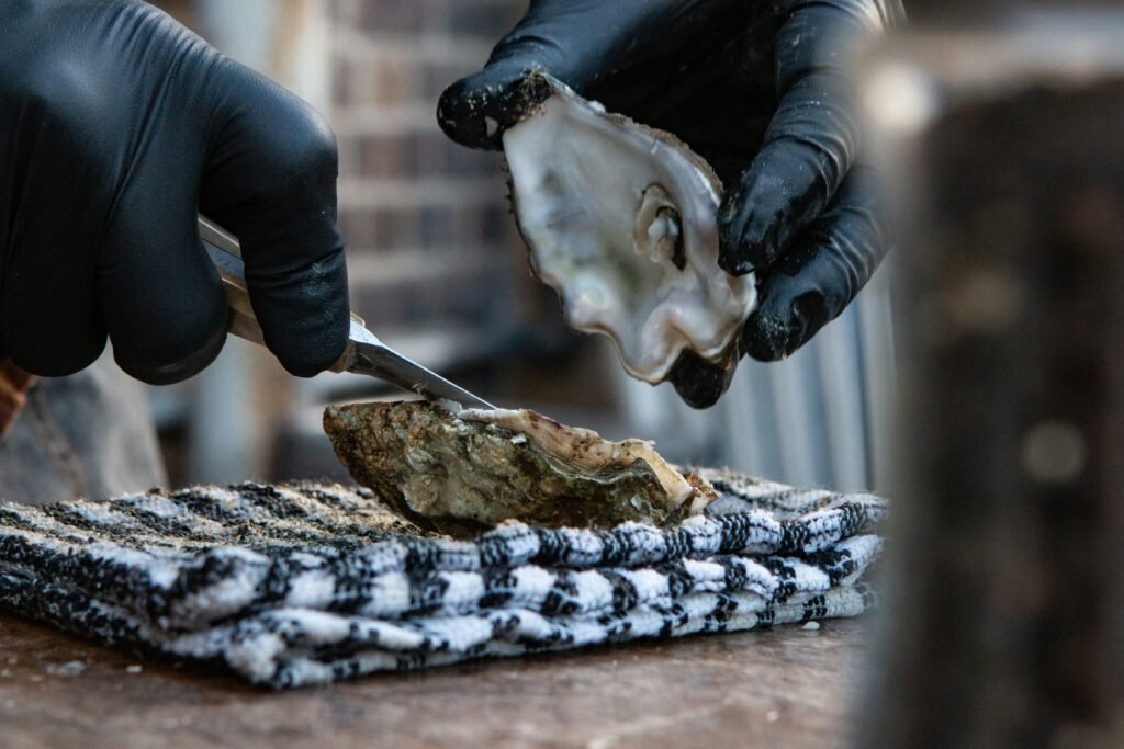 Oysters (©Thomas John)